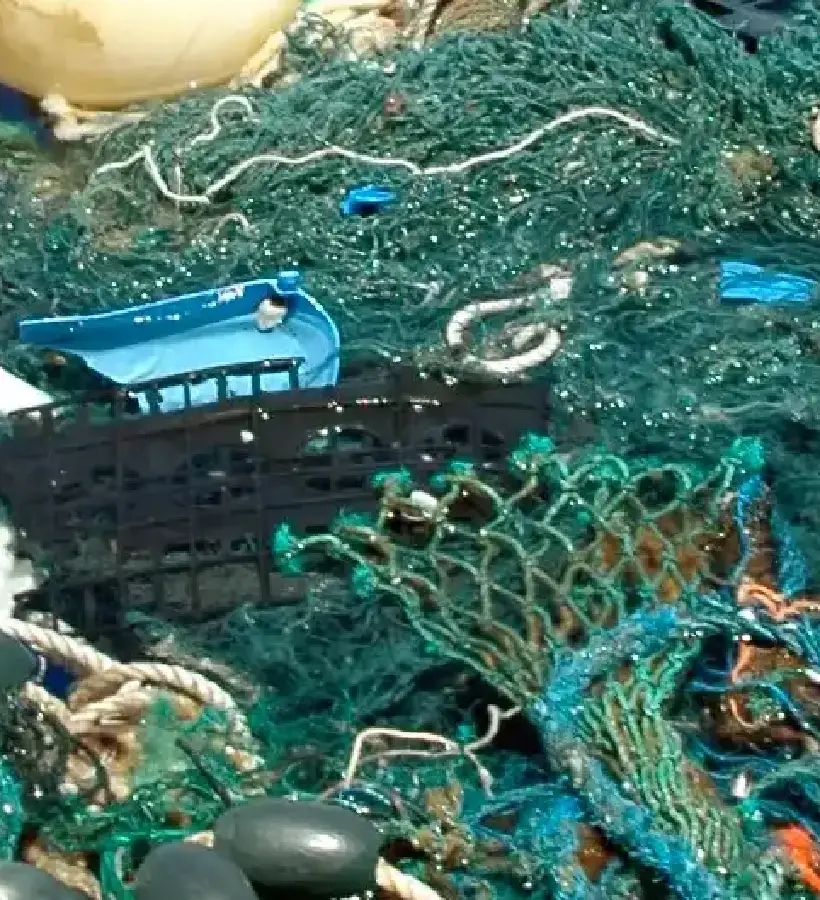 BlueTech for Zanzibar