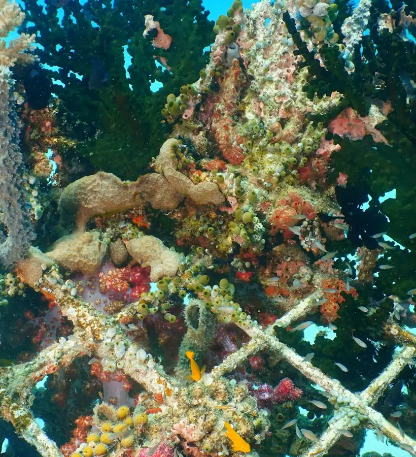 Living Islands