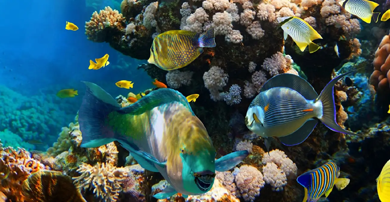 Your Gateway to Real-Time Environmental Insights & Climate Action