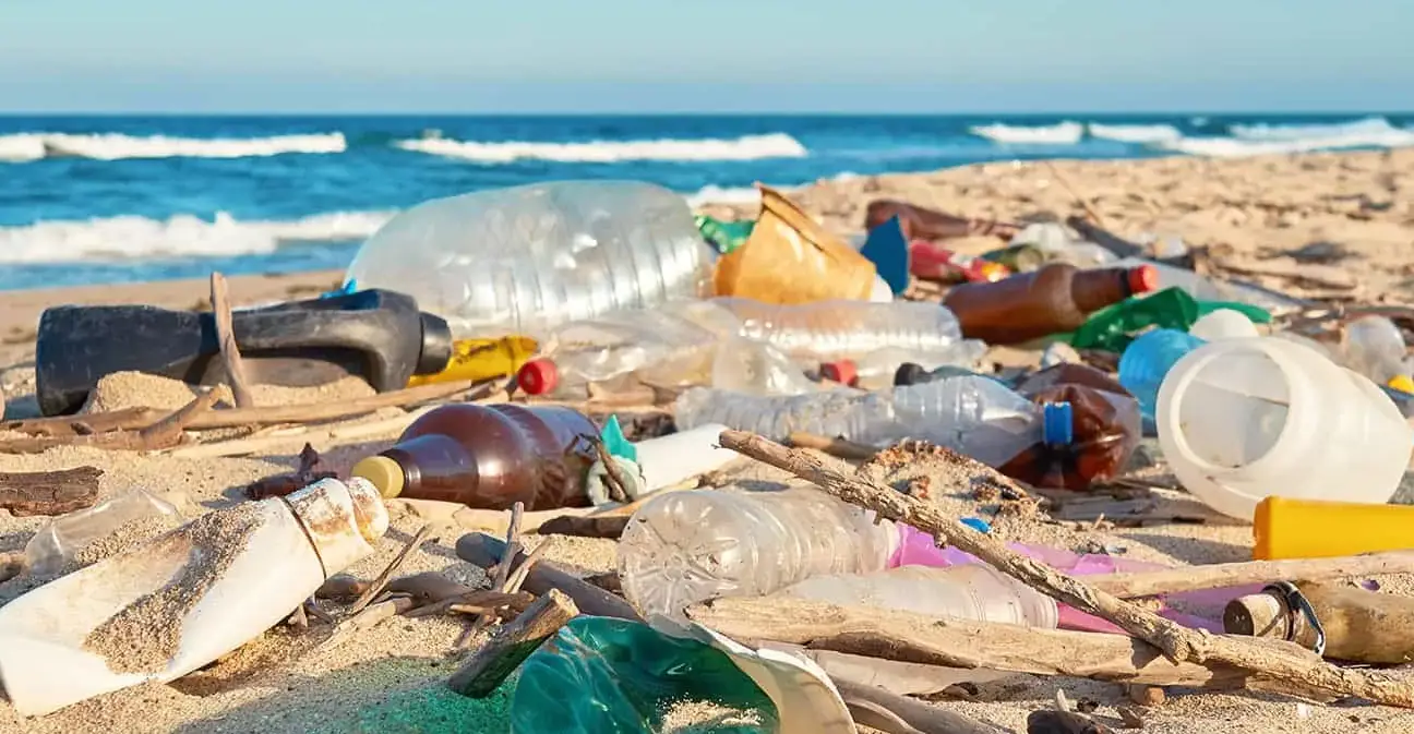 Welcome to Zanzibar – Where Nature Meets Innovation