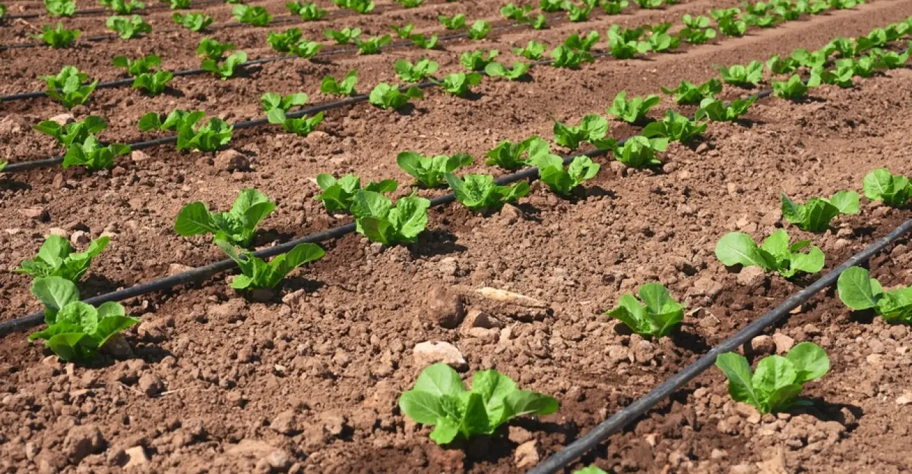Empowering Change Through Sustainable Solutions