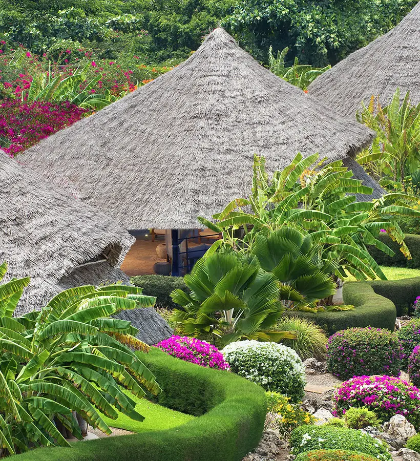 Zanzibar Urban Green